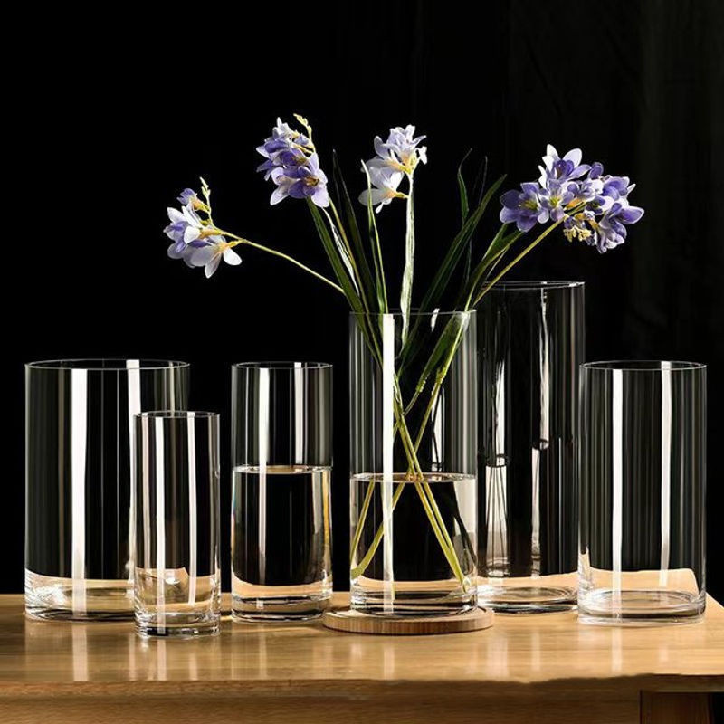 ACRDKK Glasvase für Hydrokultur und Schnittblumen, zylindrisch und transparent, Dekoration für Desktop und Schlafzimmer, B/T/H: 5,5 x 5,5 x 10 cm - Bild 1