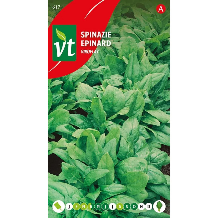 Arborix Spinat Viroflay Saatgut großblättrig 14 g - Bild 2