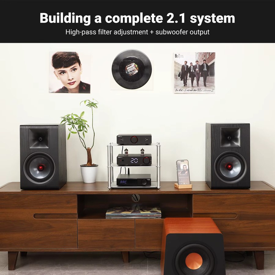 AIYIMA A20 HPF Stereo-Leistungsverstärker mit PFFB und Hochpassfilter, TPA3255 HiFi 2.0 Audio-Verstärker in Schwarz, 300Wx2 mit XLR/RCA Symmetrischem Eingang - Bild 6