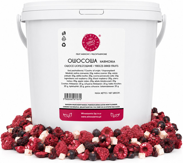 Fruit Harmony Himbeere gefriergetrocknet 100 g - Bild 1