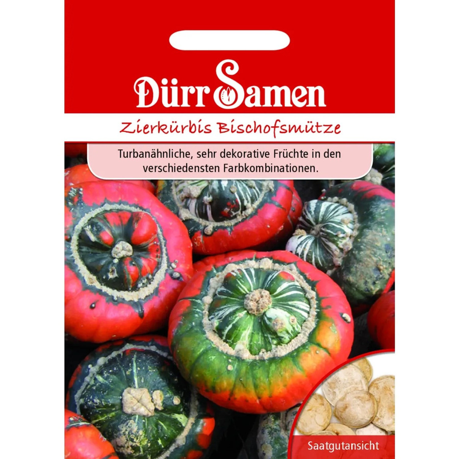 Dürr Zierkürbis Bischofsmütze Saatgut - Bild 2