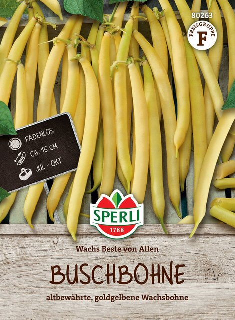 SPERLI Buschbohnen-Samen Wachs Beste von Allen Gelb - Bild 1
