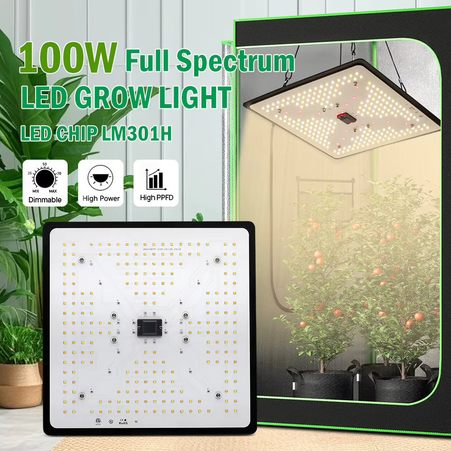 GRAXGROW LED Pflanzenlampe High Energy Vollspektrum-Wachstum, 100 W, Schwarz, dimmbar, wasserdicht, RGBWW Quantenbrett für Hydrokultur und Gewächshaus - Bild 2
