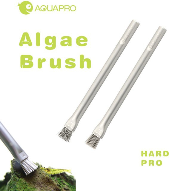 Aquapro Algenbürste aus Edelstahl für Süßwasser und Salzwasser in Silber - Bild 1