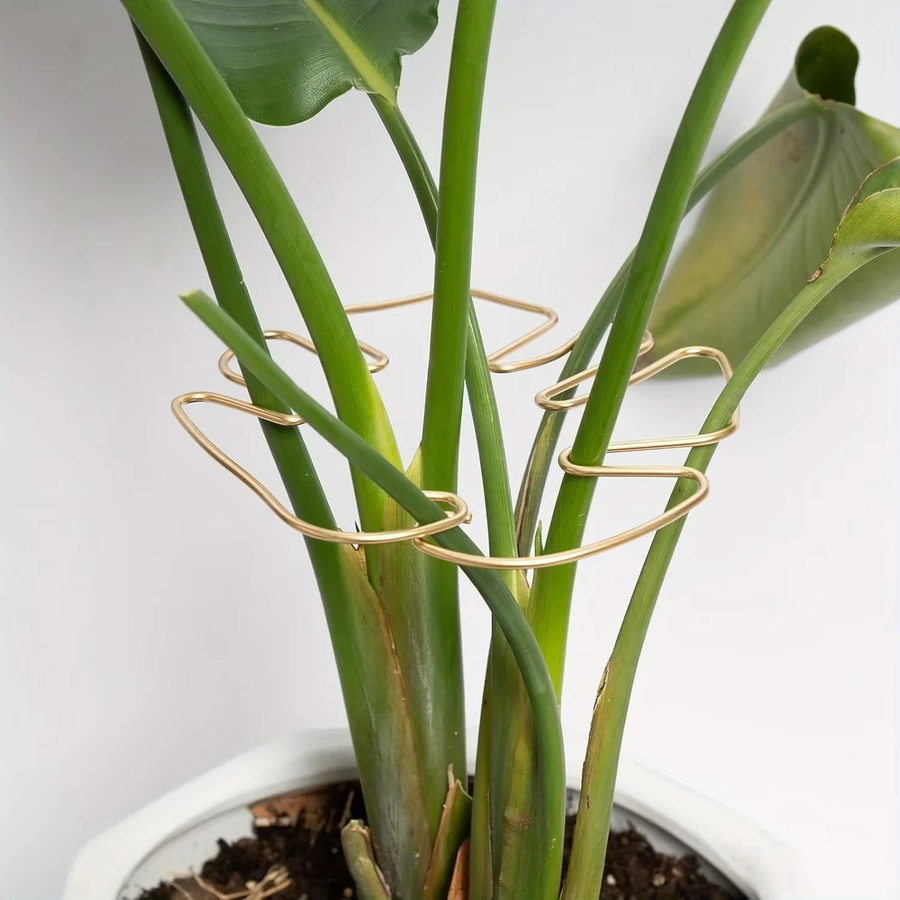 Robustes Bambus-Clip-Set in Weiß und Gold zur Unterstützung von Kletterpflanzen und Monstera als dekoratives Gartenzubehör - Bild 2