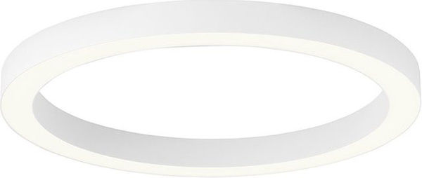 Paul Neuhaus Pure Lines Round LED-Deckenleuchte in White, dimmbar mit Fernbedienung, Durchmesser: 50 cm