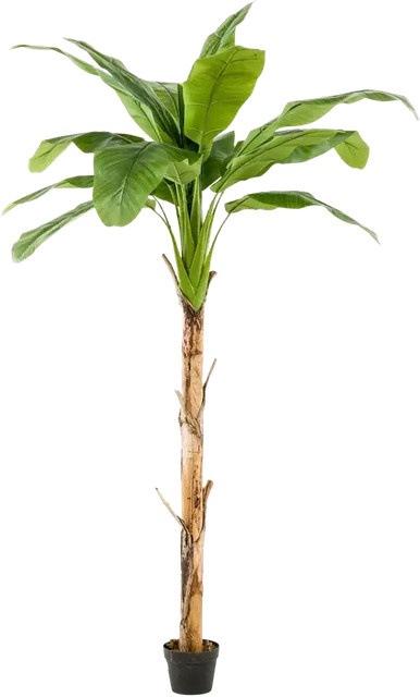 Künstlicher Bananenbaum Coco von Aplanta, Höhe: 150 cm - Bild 1