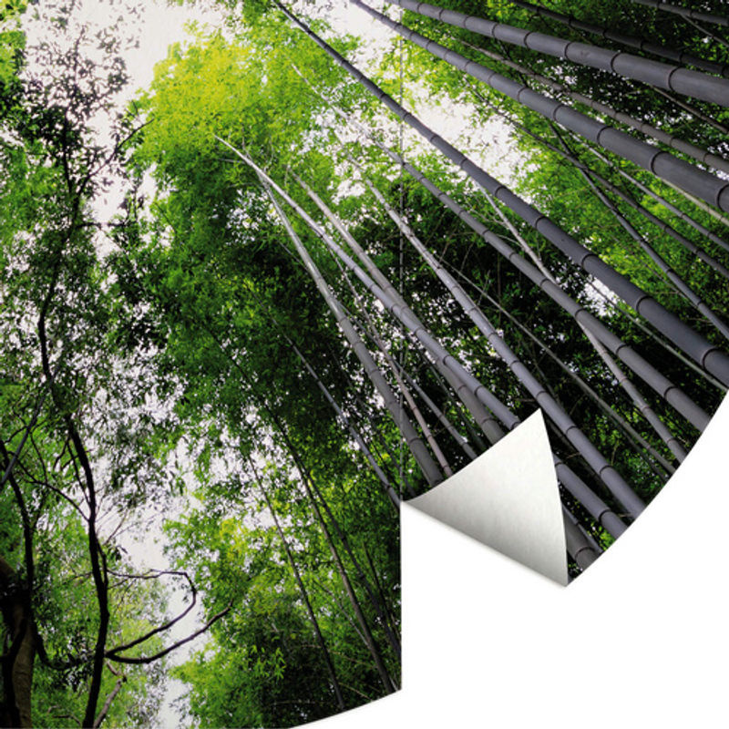 K&L Wall Art Runde Vliestapete Hugonnard Wald Baumkronen, mehrfarbig, matt, B: 153 cm, H: 140 cm - Bild 2