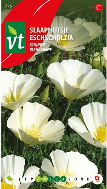 Arborix Saatgut Kalifornischer Mohn Blanc Crème, 1 g - Bild 1