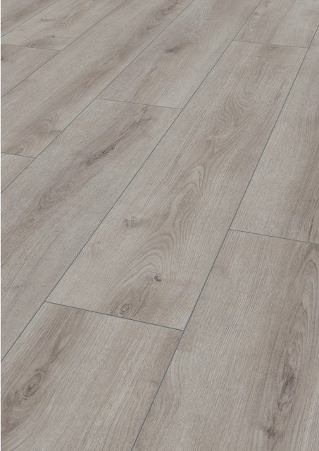 Jangal Laminatboden National Park Line Pro Dry Oak in Holzoptik, Braun/Grau - Bild 1