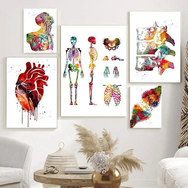 Potdemiel Minimalistischer Wandkunstdruck Anatomische Muskel-Medizinische Bildung als Leinwandgemälde in Mehrfarbig - Bild 1