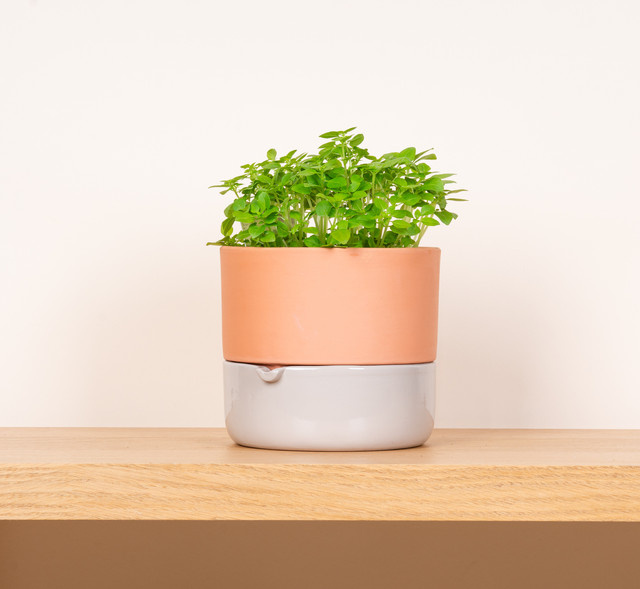Keramik Bewässerungsübertopf BLUME2000 Green Living in Beige, Höhe: 16,5 cm, Breite: 14,5 cm - Bild 1