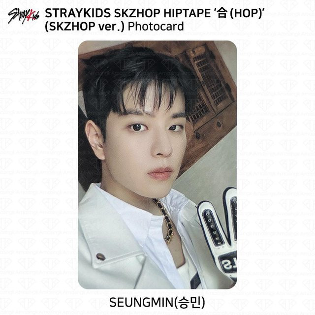 Stray Kids SKZHOP HIPTAPE HOP Akkordeon Fotokarteneinheit Monochrom Seungmin, Einzelfigur, Pappe / Karton - Bild 1