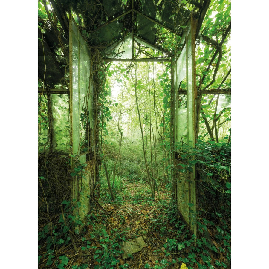 Komar Fototapete Vlies Greenhouse grün B: 200 cm, H: 280 cm - Bild 2