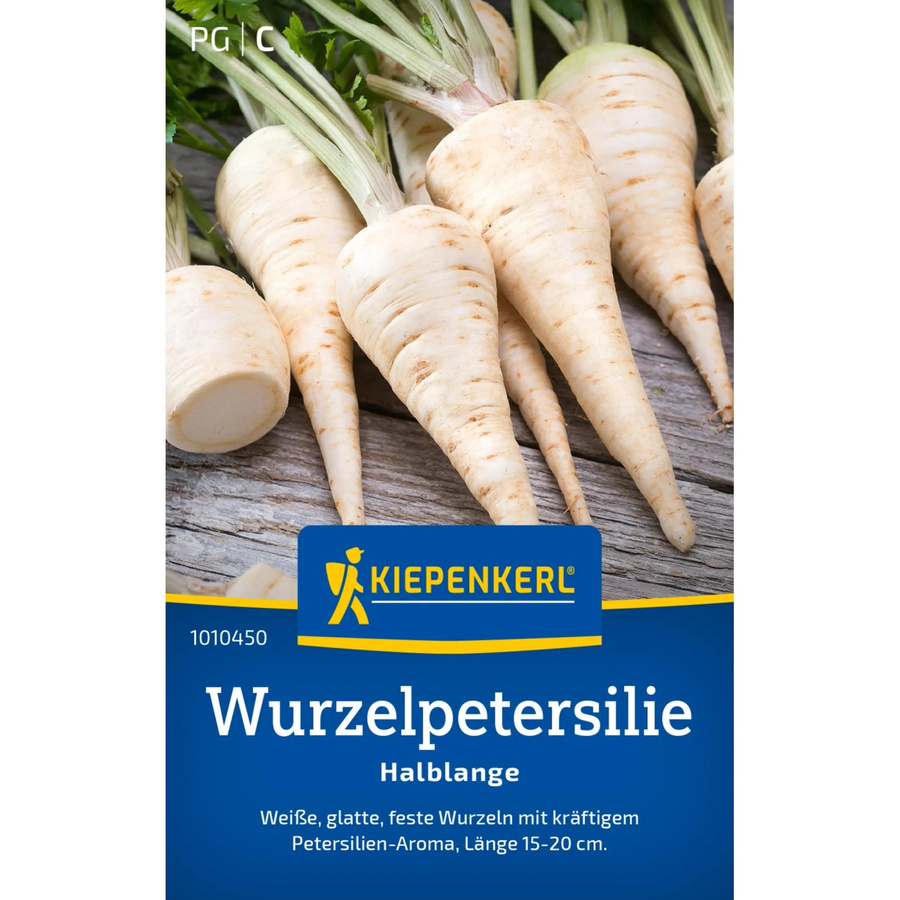 Kiepenkerl Petersilie Halblange Wurzelpetersilie - Bild 2