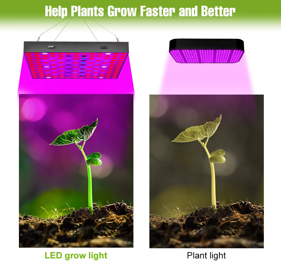 LED Vollspektrum Indoor-Wachstumslampe als Quantum-Platte für Pflanzen, Blumen und Sukkulenten mit 100W - Bild 2