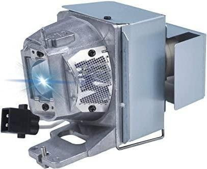 Optoma MicroLamp Projektorlampe in Silber (SP.7AZ01GC01) - Bild 1