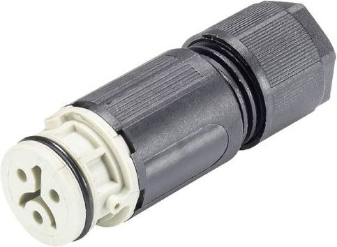 Wieland Electric 4L.021.3041.8 Steckverbinder in Grau - Bild 1