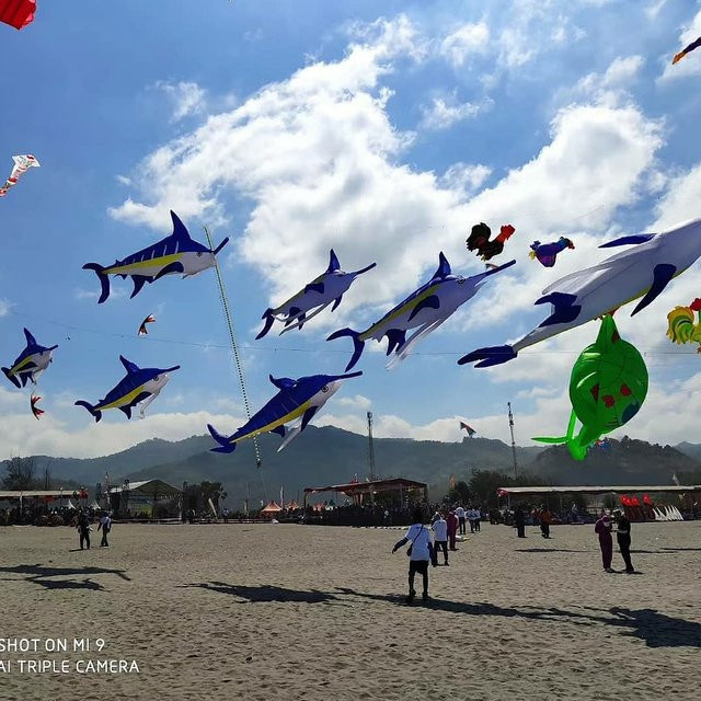 9KM DWLIFE Marlin-Fisch-Lenkdrachen, aufblasbarer Outdoor-Tier-Showdrachen, Blau - Bild 1