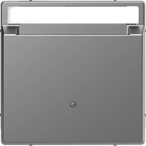 Merten Abdeckung System Design in Edelstahl, Silber, MEG3854-6036 - Bild 1