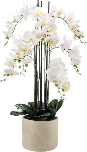 Künstliche Orchidee Louisa von Aplanta, Höhe: 100 cm - Bild 1