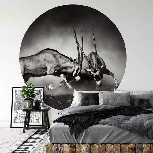 K&L Wall Art Runde Vliestapete Safari Duell Antilopen Waldtiere mehrfarbig matt - Bild 2