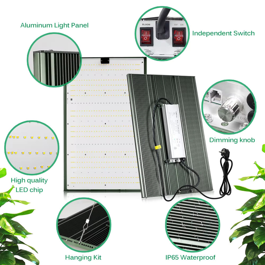 GRAXGROW 300 W LED-Wachstumslampe mit Vollspektrum-Beleuchtung und Dimmknopf aus Aluminium für Blumen und Gemüse - Bild 5