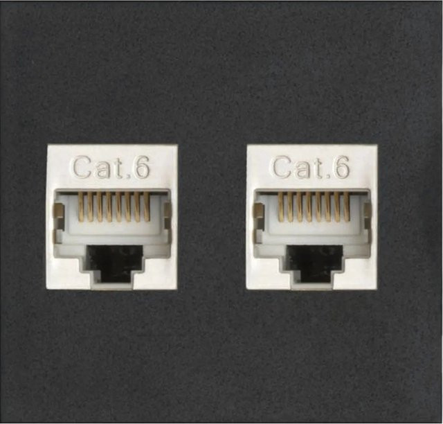 EVOline Wechselmodul 2x RJ45 Cat6 aus Kunststoff in Schwarz - Bild 1