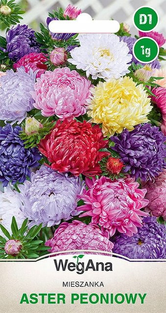 WegAna Aster Pemony Mix aus Farben Blumensamen 1 g - Bild 1