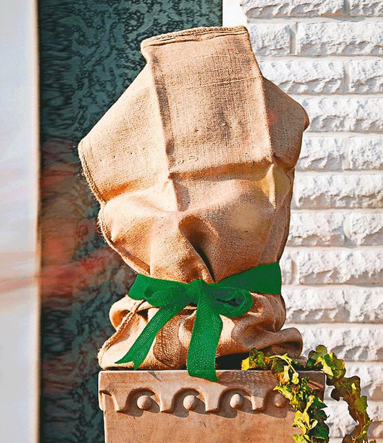 Videx Garden Winterschutz Jutesack Natur B: 60 cm, H: 80 cm - Bild 2