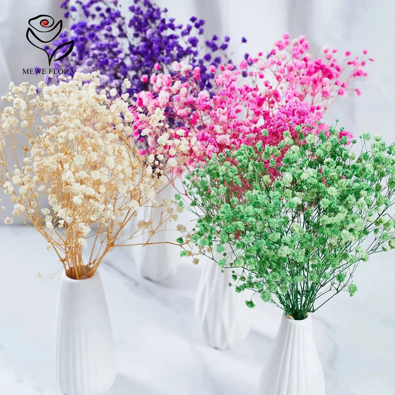 Getrockneter Gypsophila Baby Breath Blumenstrauß in Mehrfarbig für Boho Hochzeit und Dekoration - Bild 3