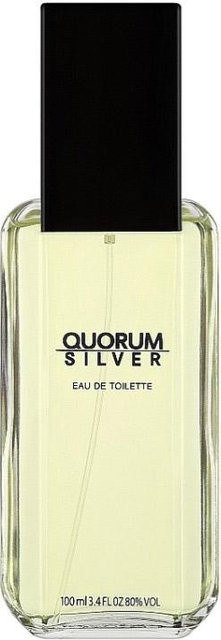 Antonio Puig Quorum Silver Eau de Toilette, 100 ml, Herren - Bild 1