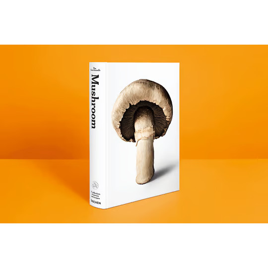 The Gourmand’s Mushroom. A Collection of Stories & Recipes. von Jeremy Lee, gebundene Ausgabe, englisch - Bild 2