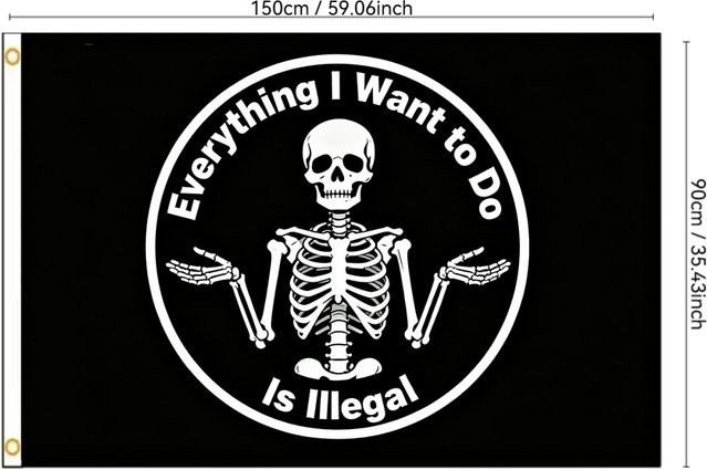 Satirische Meme-Flagge mit Totenkopf und Text Alles, was ich tun möchte, ist illegal in Schwarz aus Polyester, B/H: 90 x 60 cm - Bild 1