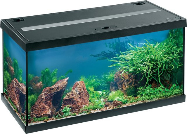 Eheim Aquastar LED Aquarium-Set in Schwarz - Bild 1