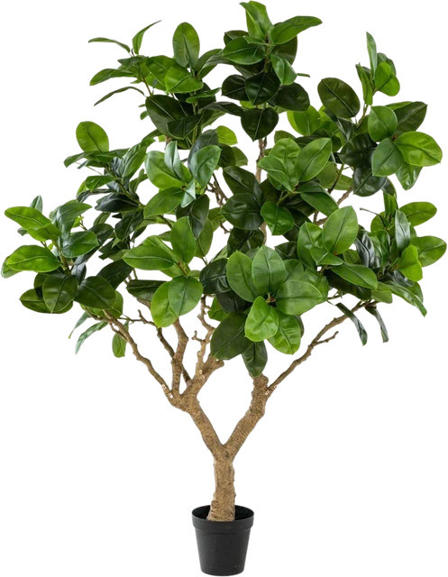 Künstlicher Gummibaum von Aplanta, Höhe: 200 cm - Bild 1