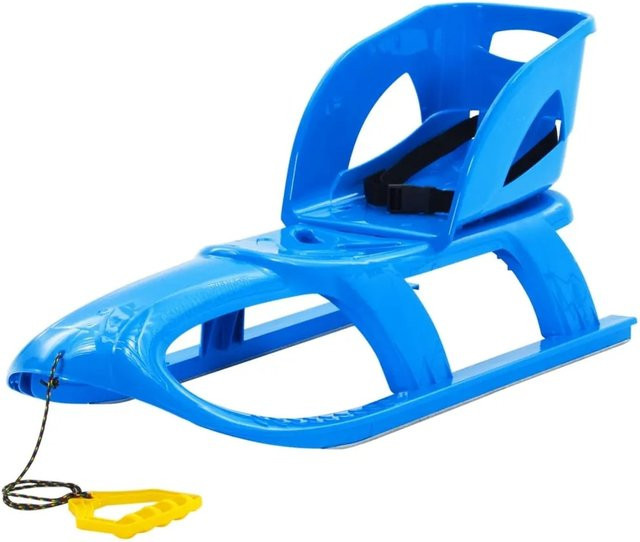 vidaXL Schlitten mit Lehne aus Polypropylen und Stahl in Blau, B/T/H: 102,5 x 40 x 23 cm - Bild 1