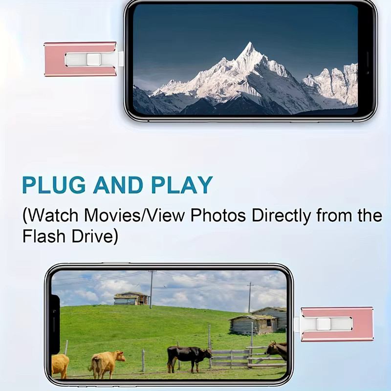 DIXSG 4-in-1 OTG USB Flash Drive mit Micro USB, USB-C und Lightning Anschlüssen, 64 GB, Schwarz - Bild 3
