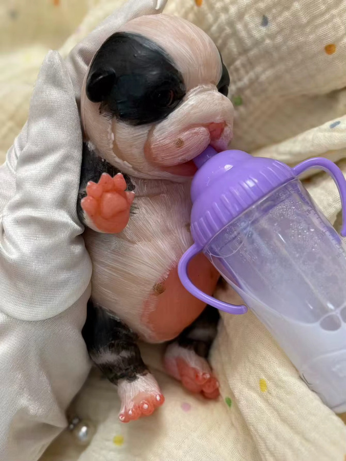 Aizwa1 Hund und Schaf, Silikon-Reborn-Puppe, Weiches Silikon-Tierspielzeug - Bild 2