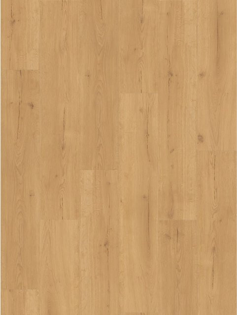 Parador Vinylboden Basic 30 Eiche Infinity Natur in Braun mit Click-System - Bild 1