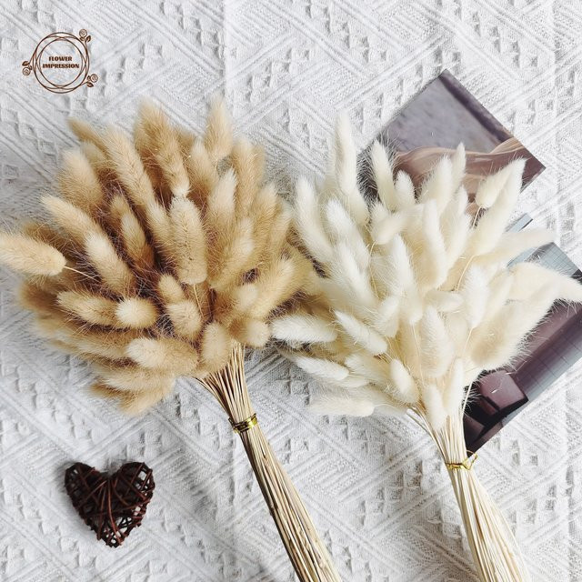 120 Stück getrocknete Kaninchenschwanz-Gräser in Beige als natürliche Boho-Tischdekoration für Hochzeiten und Partys von YN HI FLOWER - Bild 1