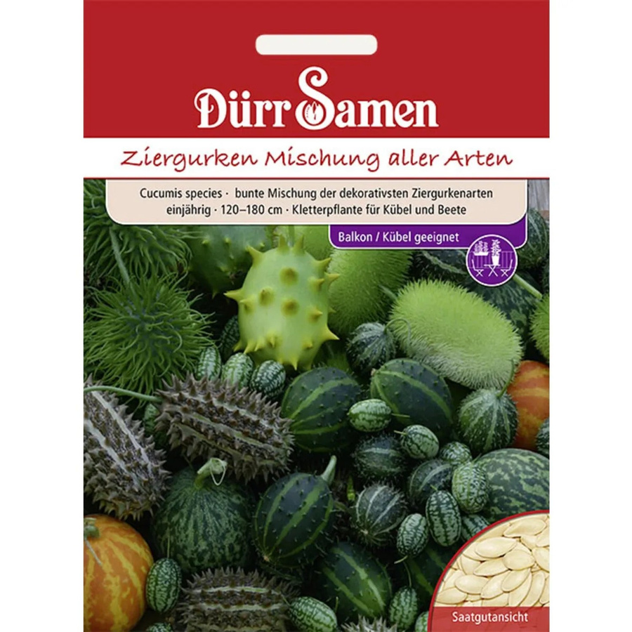 Dürr Samen Ziergurken Bunte Mischung Aller Arten Einjährig Blumensamen - Bild 2