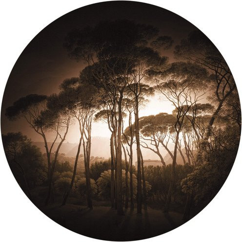 K&L Wall Art Runde Vliestapete Retro Wald Sepia Urwald Foto, mehrfarbig, matt - Bild 1