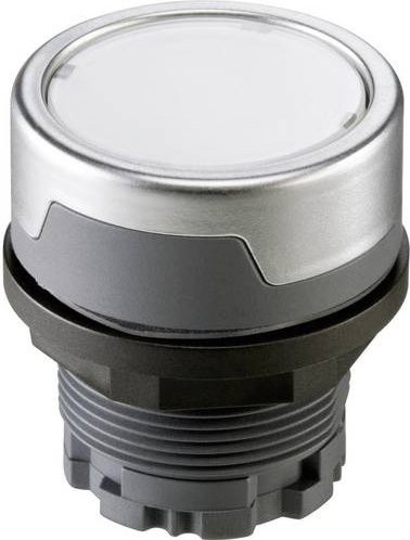 Schlegel Drucktaster RMCTKL in Silber-Grau - Bild 1