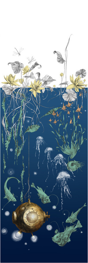 Edmond Petit Meeres-Tapete Nautilus gauche in Marineblau aus Vlies - Bild 1
