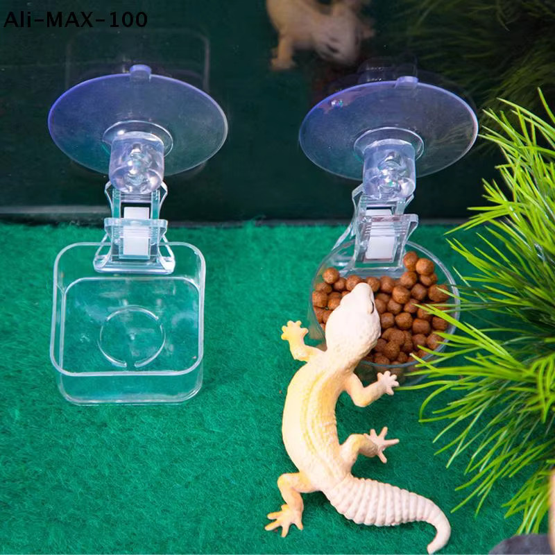 Hoeaden Wassernapf für Reptilien mit Saugnapf, transparentes Futtertablett für Geckos, Eidechsen und Spinnen - Bild 2