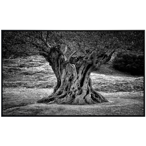 papermoon Infrarotheizung EcoHeat Baum Schwarz Weiss mit Matt-Effekt und App-Steuerung - Bild 2