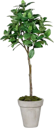 Künstlicher Kaffeebaum Albus von Aplanta, Höhe: 150 cm