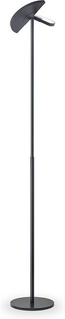 Knapstein Talea LED-Deckenfluter Schwarz mit Tunable White (1800K - 4000K) H: 186,0 cm, B: 30,0 cm, T: 30,0 cm - Bild 1