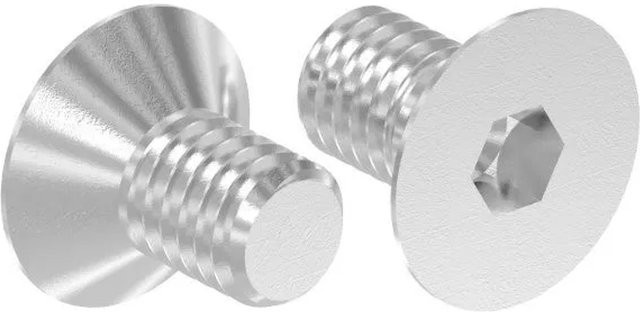 FeNau Senkkopfschraube M6x10 mit Innensechskant aus V4A Edelstahl in Silber, ISO 10642 - Bild 1